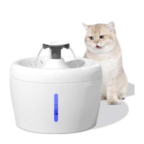 AmiCura Water Bowl for Cats